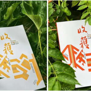 上海文学矩阵亮眼，以丰富“和声”彰显时代精神