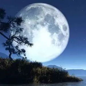 月亮，月亮