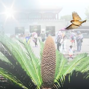 汤养宗：光辉