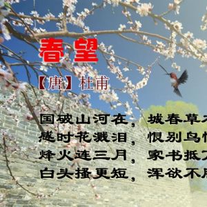 古诗词赏析：春望（杜甫）