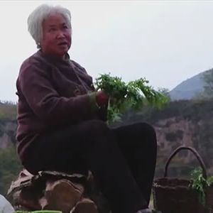 诗歌：寒浸泡的山岗（外一首）