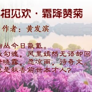 黄发滨 | 相见欢·霜降赞菊