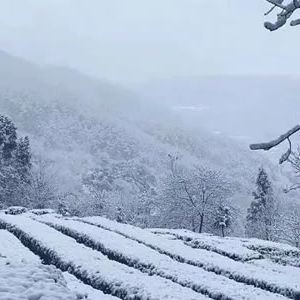 袁明忠 | 雪赋