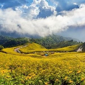 【美篇】卷首语