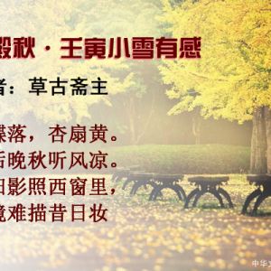 草古斋主  | 桂殿秋·壬寅小雪有感