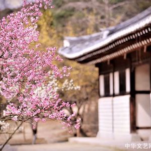 【古诗词】雨中花令·雪梅吟