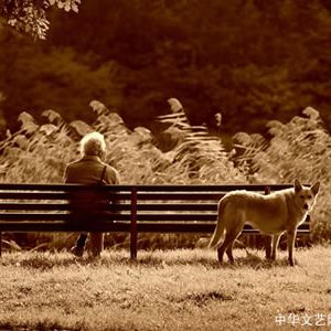 陈勇 | 老人与狗（小小说）