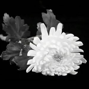 江泽民同志诗词选