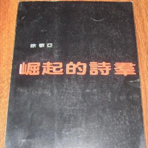 徐敬亚回顾《崛起的诗群》——我的微信随评
