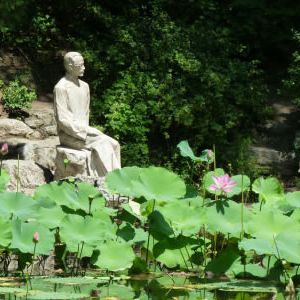 朱自清日记中的细节与真实
