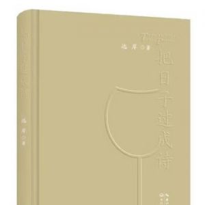杨四平：远岸诗歌的幻象、密码、秘境与喜悦