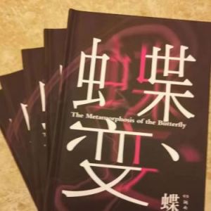 王单单论诗集《蝶变》