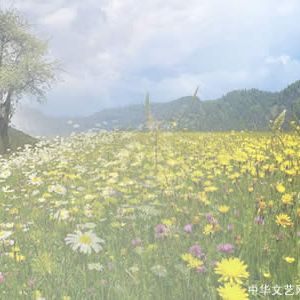 散文诗：清明节之外（三章）