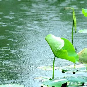 【古诗词】立夏前日下中雨