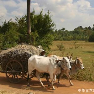 组诗：在乡下老家遇见神（五首）