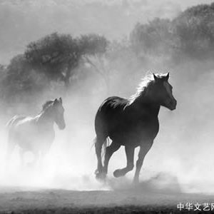 车延高：蒙古马