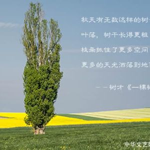 树 才：一棵树（中英双语）