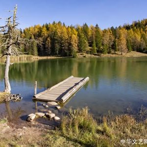 【古诗词】临江仙•诗梦