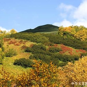 现代诗：得到秋的谅解