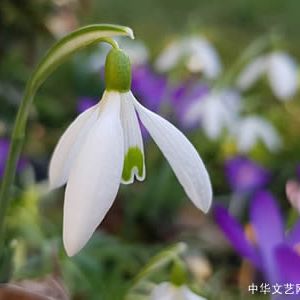 ☆现代禅意诗七首