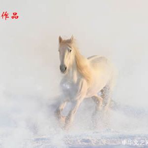 西周 | 我命尚浮，归去来兮——读温经天《浮槎》