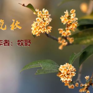 晚秋新说｜读牧野诗歌《晚秋》