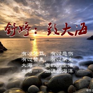 舒婷：致大海