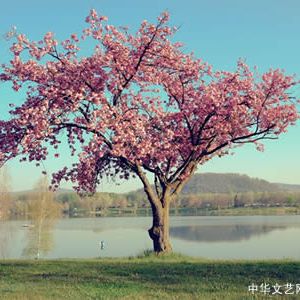 崔皓 | 彭江园记（外一首）