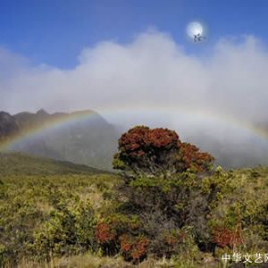 海恋诗评：读太阿《中秋对》，浅谈叙事策略在现代诗中...