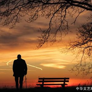 张艳梅 | 读焦冲《人约黄昏后》：两个家庭