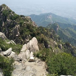 海恋诗评：雨中的鸣响，来自山谷的生命之歌