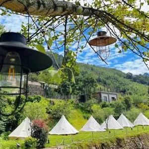 杨利民 | 七律•雉鸡坞消夏