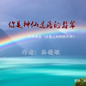 王长征：评孙晓娅新作《你是神仙遗落的翡翠》