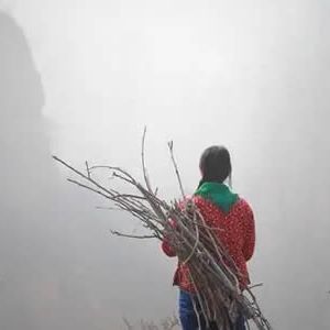 组诗：山村做梦的女人