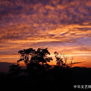 现代诗：捧起霞光