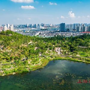 《上海诗人》2024年6期目录