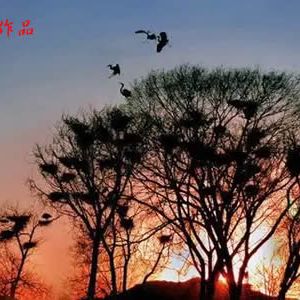 缘圆阁主 | 七绝•酒醒黄昏