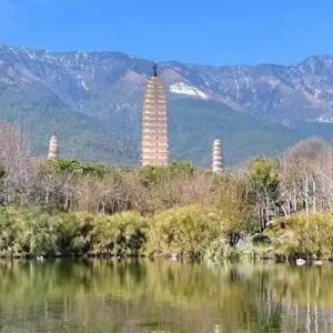 李星光 | 水调歌头·又见歪脖君（外二首）