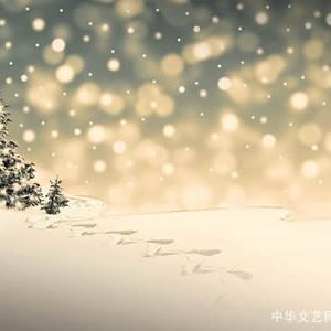 【旧体诗】七绝•瑞雪