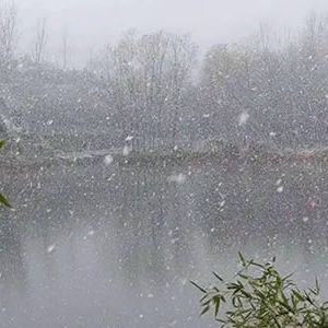 戴仁毅 | 雪