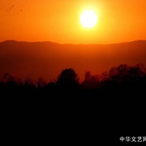 现代诗：太阳是没有棱角的