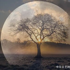 现代诗：月光像雪一样飘落
