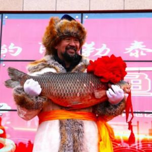阿勒泰的鱼羊成为耀眼的“明星”