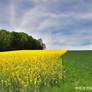 【旧体诗】诗钟七唱·春夏(回文)