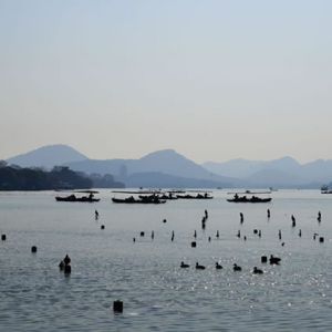杨喆摄影：西湖四章