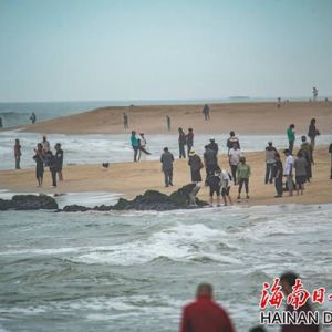 很多人在手机里取暖 很多人拖着旅行箱 到了海南