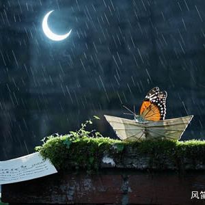 现代诗：浮尘记