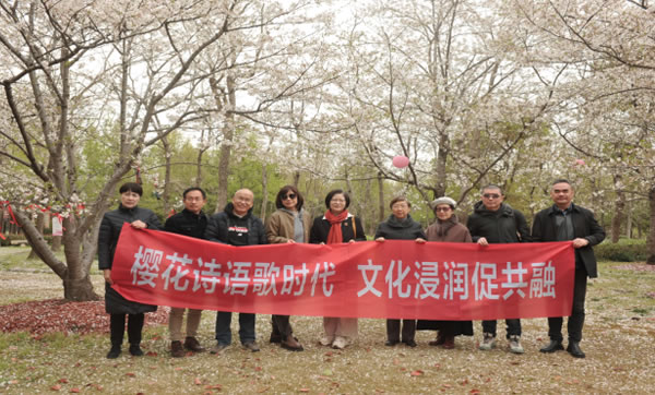 樱花诗语歌时代，文化浸润促共融