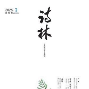 《诗林》2025年3期目录