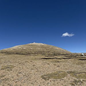 王山：牦牛是一束温暖的光